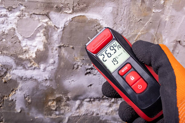 Best Bathroom Mold Remediation in Milan, MO