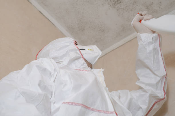 Best Commercial Mold Remediation in Milan, MO