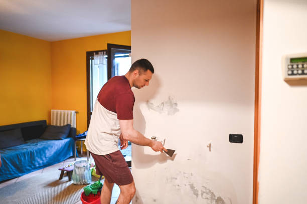 Best Mold Testing and Inspection Services in Milan, MO